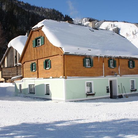 Ferienwohnung Schaupphof Donnersbachwald Luaran gambar